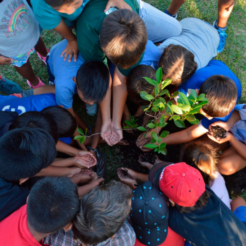 fundacion-emmanuel fundación emmanuel
