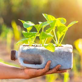 sembremos-futuro tienda ecológica