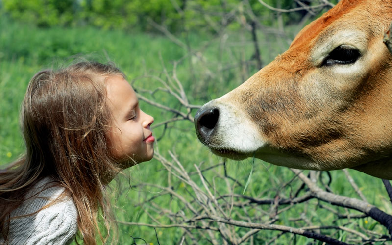La carne y el impacto ambiental